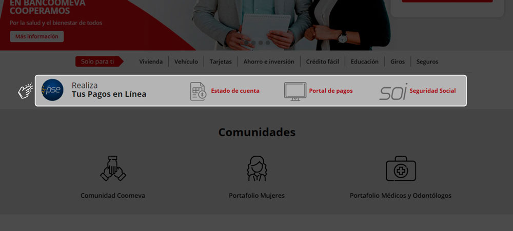 Zona - Pagos en línea